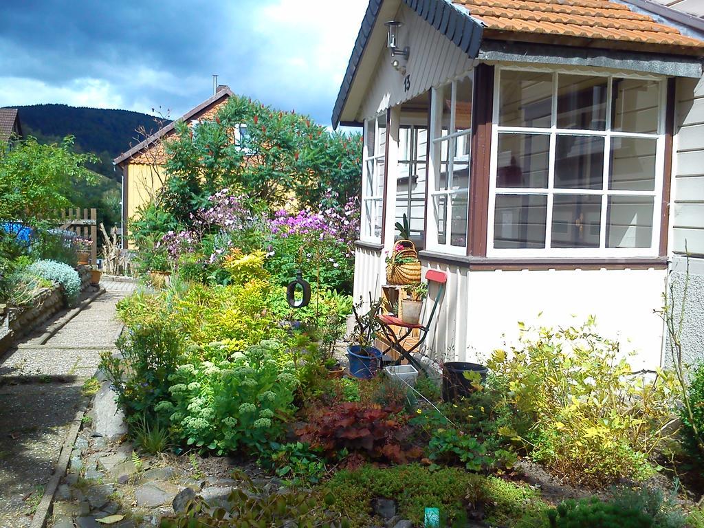 Landhaus Lautenthal מראה חיצוני תמונה