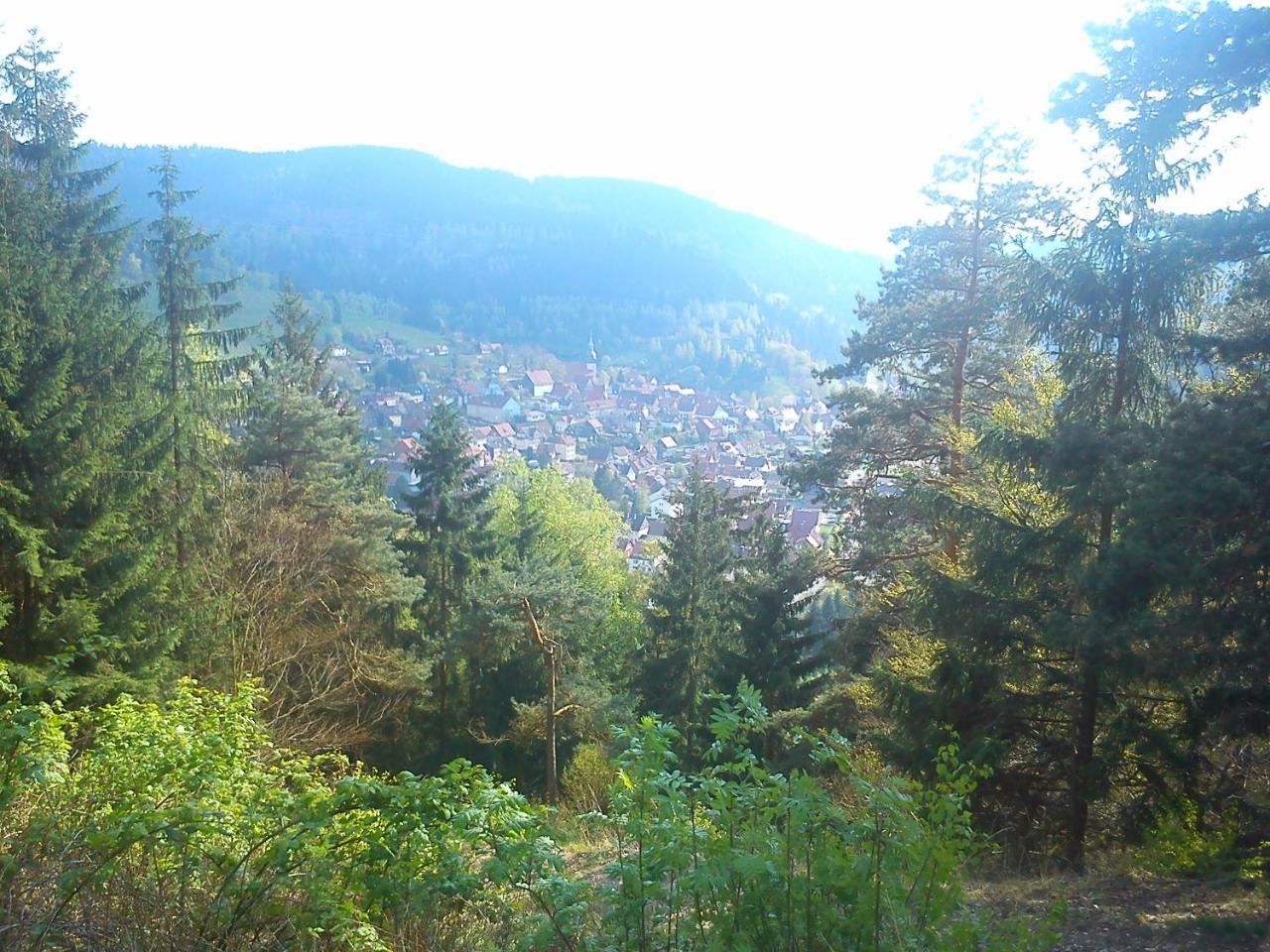Landhaus Lautenthal מראה חיצוני תמונה